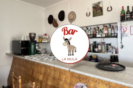 Tapa Bar La Mula